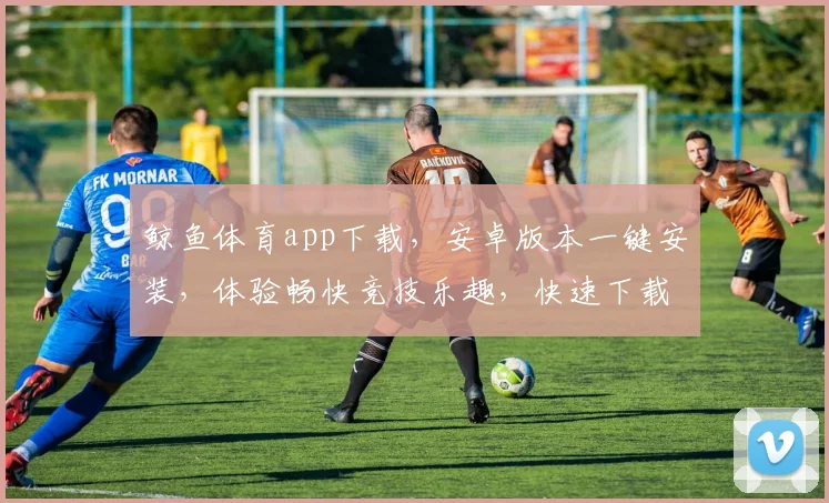鲸鱼体育app下载，安卓版本一键安装，体验畅快竞技乐趣，快速下载，三步搞定