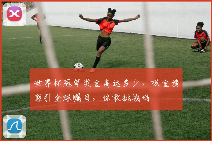 世界杯冠军奖金高达多少，吸金诱惑引全球瞩目，你敢挑战吗