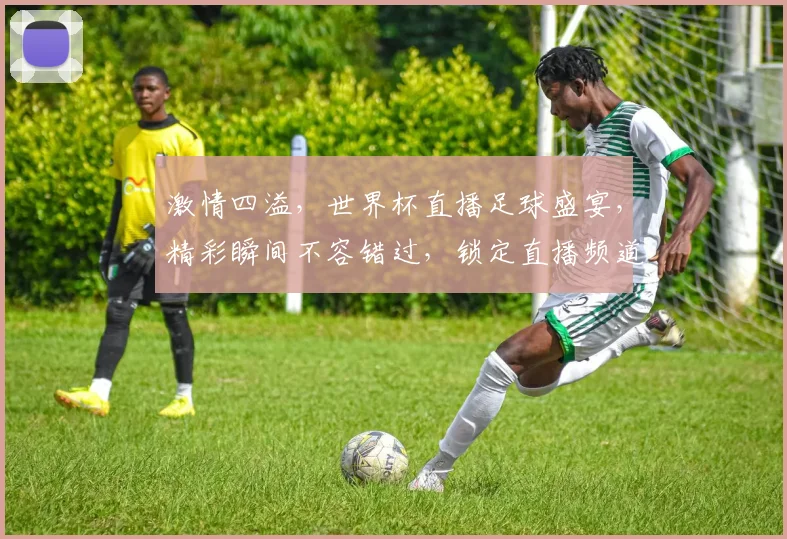激情四溢，世界杯直播足球盛宴，精彩瞬间不容错过，锁定直播频道，共赴视觉盛宴