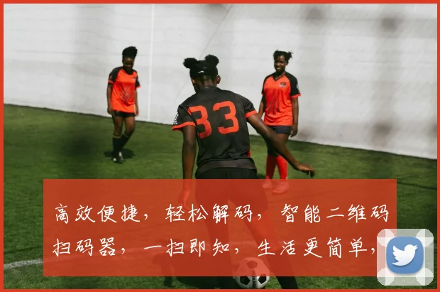 高效便捷，轻松解码，智能二维码扫码器，一扫即知，生活更简单，三重保障，安全无忧。