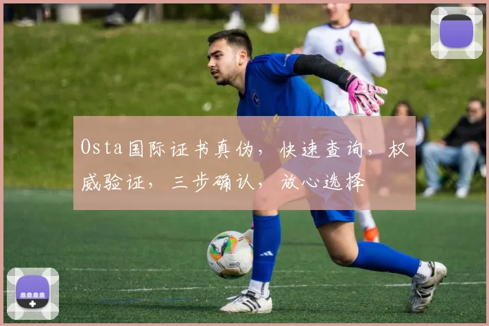 Osta国际证书真伪，快速查询，权威验证，三步确认，放心选择